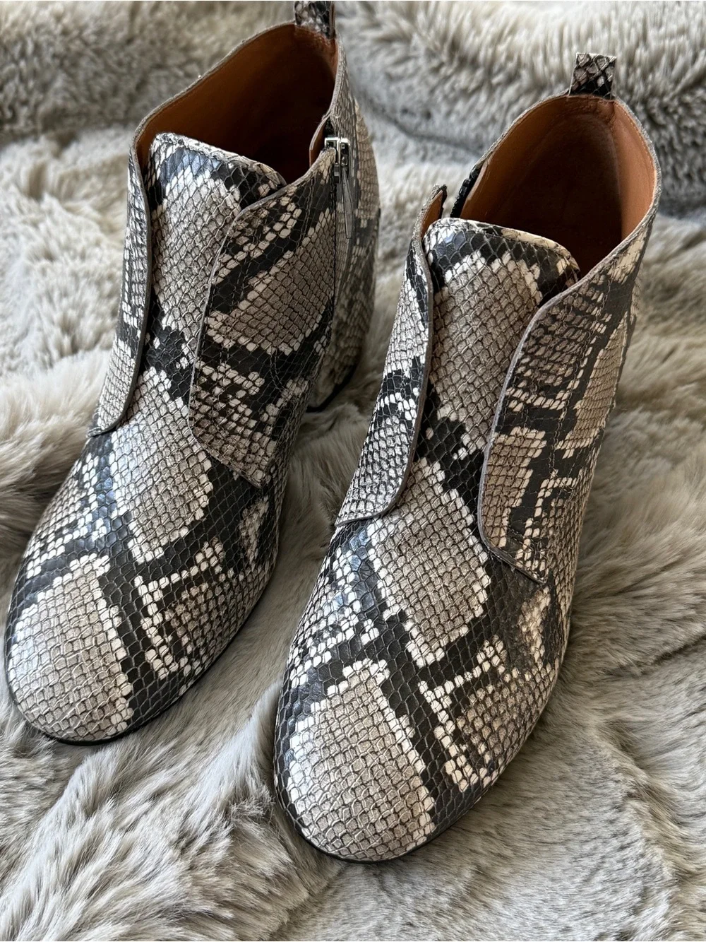 NIB Snake-Print Ankle Booties